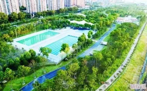 2024经典城市模拟游戏大盘点，惊喜消息：多款热门城市建设游戏来袭！